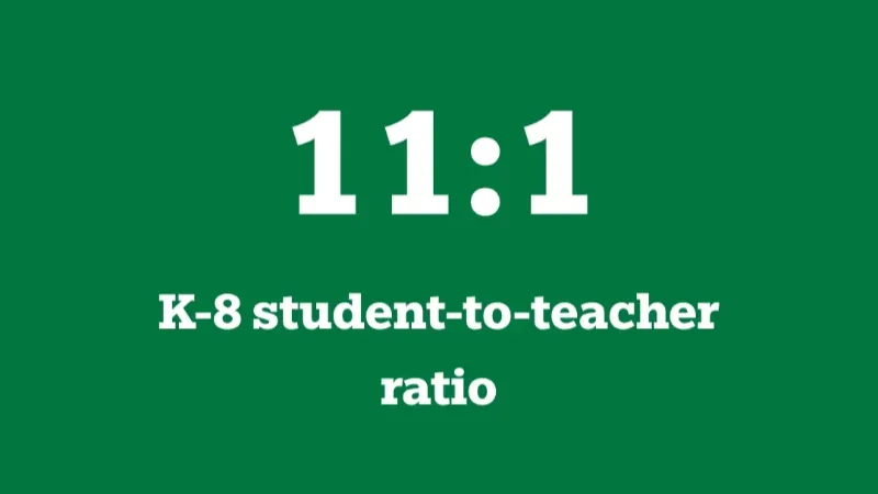 11:1 K-8 student-teacher ratio