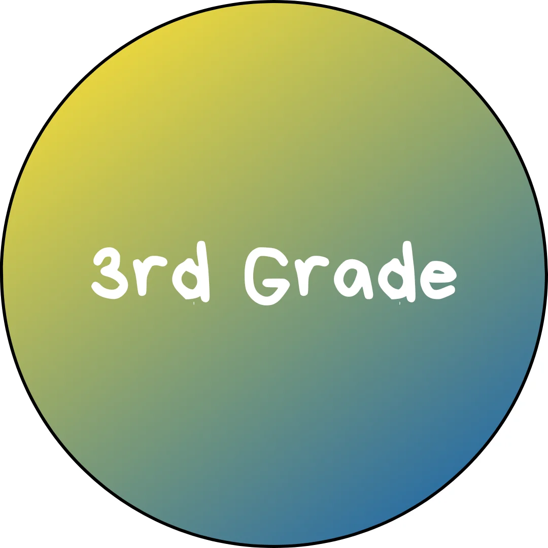 3rd Grade button